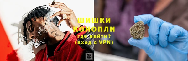дживик Бронницы