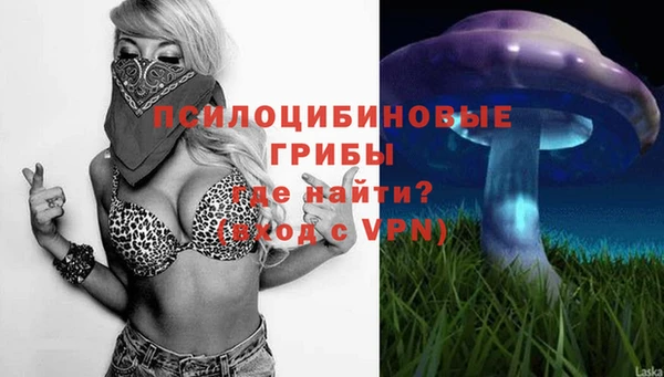 ALPHA PVP Бородино