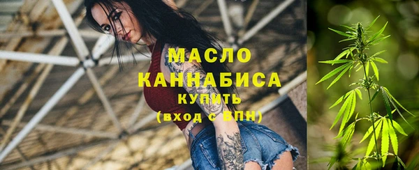 дживик Бронницы