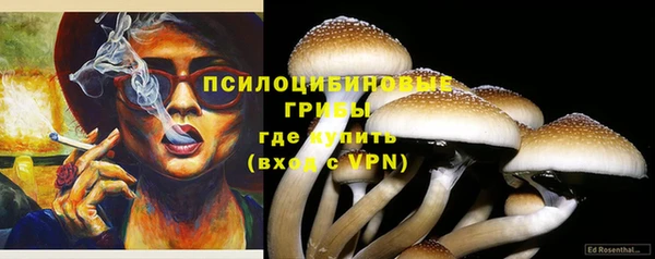амфетамин Богданович